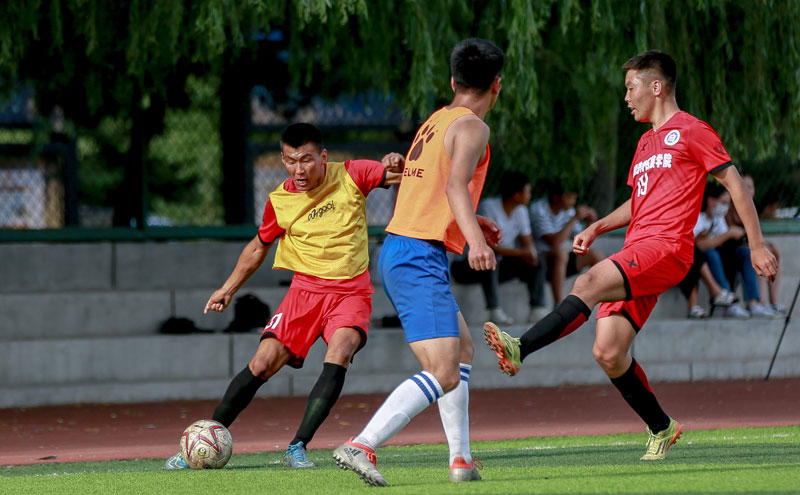 国外亚洲足球博主：王钰栋可能会加盟德乙俱乐部达姆施塔特（海外亚洲足球博主称：王钰栋或将加盟德乙俱乐部达姆施塔特）